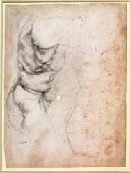 Undersøgelse af torso og balde (kul på papir) (recto)